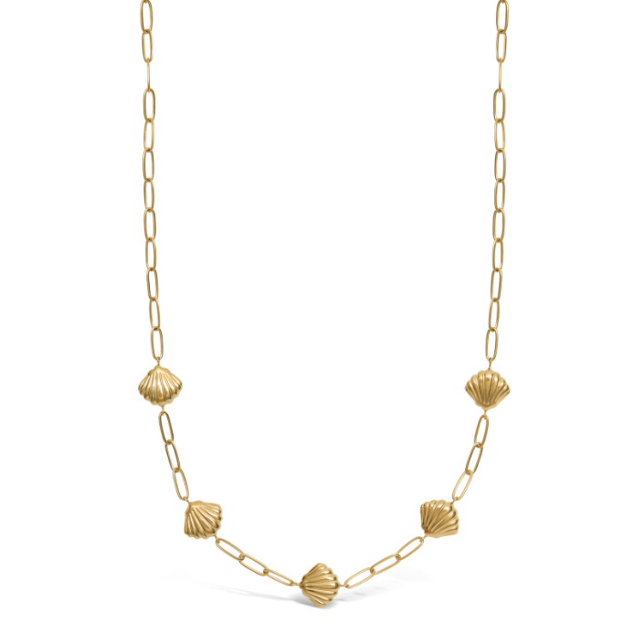 Scallop Chain Necklace - Gold